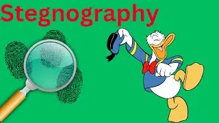 steganography | Hacking Course | chapter 6