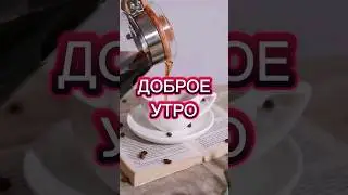 Доброе Утро Всем отличного настроения ❤️ 