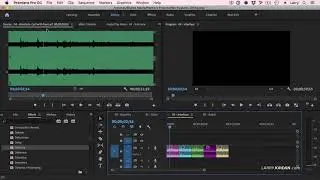 Adobe Premiere Pro CC: NEW! Time-saving Tips and Techniques (Larry Jordan PowerUp Webinar #265)