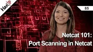 Netcat 101: Port Scanning in Netcat, Haktip 85