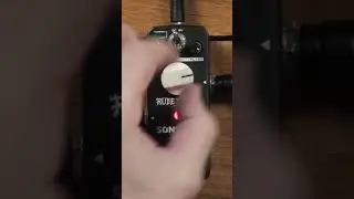 The Rude Mouse pedal