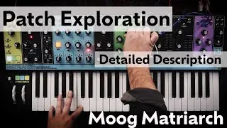 Moog Matriarch Patching Idea with Explanation | Complex Evolving Pad