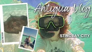 Antigua Vlog | Swimming with Stingrays in Stingray City | Sky Princess Excursion