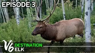 Up Close and Personal with Lonely Jim - Episode 3 (Destination Elk V6)