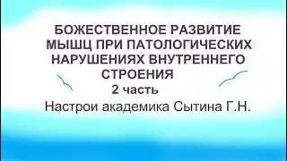 Божественное развитие мышц при патологических нарушениях внутреннего строения  2 часть