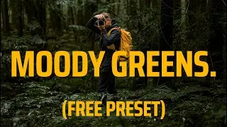 Edit Moody Greens - FREE PRESET - Dark Forest Greens Lightroom Tutorial