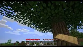 Minecraft Survival Series: Episode 1