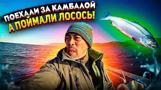 Поехали за камбалой, а поймали лосось! // We went for flounder, but caught salmon! // プラクティスのキャッチボール