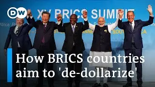 What an expanded BRICS means for Africas economy | DW News Africa