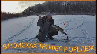 В ПОИСКАХ ПОИМКИ  ТРОФЕЯ . р.ОРЕДЕЖ.