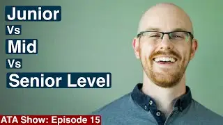 Entry vs Mid vs Senior Level Data Analyst | Alex The Analyst Show | Episode 15