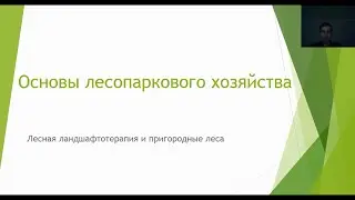 Основы лесопаркового хозяйства 1  4 курс Лесное дело