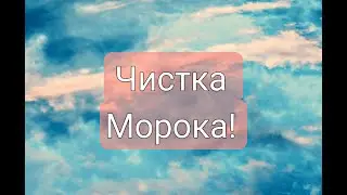 ЧИСТКА МОРОКА