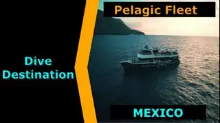 Diving Mexico, Pelagic Fleet, Destination Spotlight for Scuba.Digital The #1 Online Dive Show