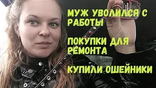 #переезднаюг//муж уволился с работы//покупки для ремонта//готовимся к перевозке животных