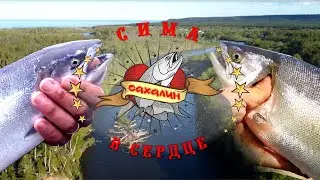 Сима в сердце Сахалина!