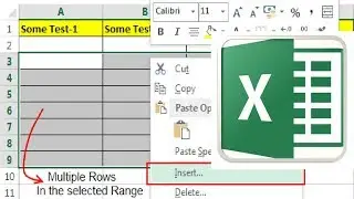 Two ways to quickly Insert Multiple Rows or columns in Excel