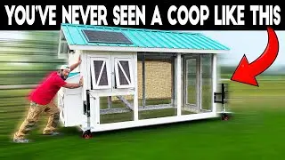 Everyone Will Be Building Chicken Coops Like This Now