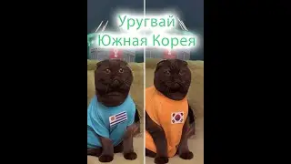 Уругвай - Южная Корея | Матч 14