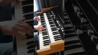 MACEO FUNK GROOVE ORGAN JAM #Shorts