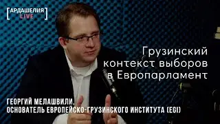 Георгий Мелашвили о грузинском контексте выборов в Европарламент