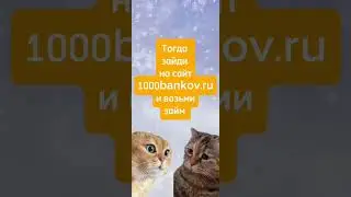 Даже коты знают, где взять деньги на Новый год!