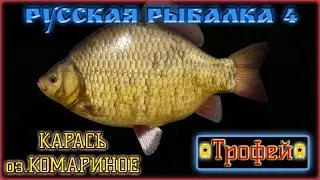 РУССКАЯ РЫБАЛКА 4 / РР4 / RUSSIAN FISHING 4 / КОМАРИНОЕ / ТРОФЕЙНЫЙ КАРАСЬ НА ФИДЕР