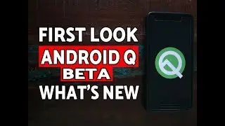 First Look Android Q Beta; New Features Android Q Beta 1