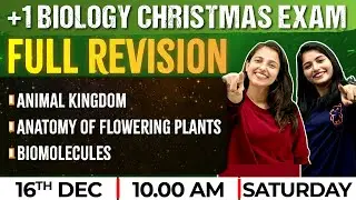 Plus one Biology Christmas Exam | Animal kingdom | Anatomy of Flowering Plants | Biomolecules | +1