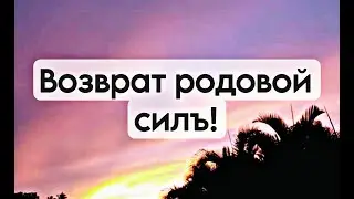 возврат РОДОВОЙ СИЛЪ