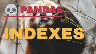 pandas index | pandas in python for beginners