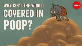 Why isnt the world covered in poop? - Eleanor Slade and Paul Manning