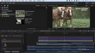 Roles, Audio and the Timeline Index (FCP X 10.3)