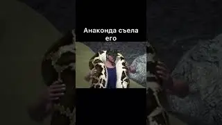 Атаки животных на людей | Саловати Саидзода | Тик ток 