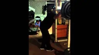 Will - Squats 133kg x 2 (9.9.2013)