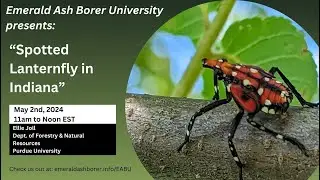 Spotted Lanternfly in Indiana