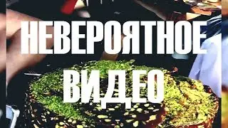 Невероятное видео!! Удивительный мир видео.4. 🕊️