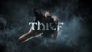 Thief #1   Знакомство с Эрин