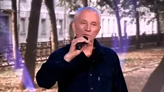 Александр Соколов — «Тополя все в пуху»