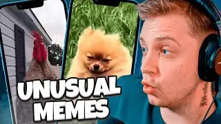 СТИНТ СМОТРИТ: UNUSUAL MEMES COMPILATION V273 // МЕМЫ