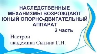 Наследственные механизмы возрождают юный опорно-двигательный аппарат 2 часть Сытин Г.Н.