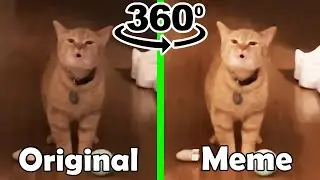 I Go Meow Original Vs I Go Meow Meme 360º