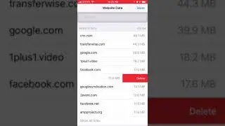How to DELETE WEBSITE DATA from SAFARI on iOS?