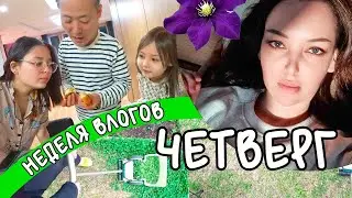 Неделя влогов/ Четверг/ KOREA VLOG/