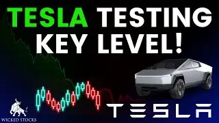 Tesla Stock Price Analysis | Top Levels To Watch for Friday, August 16th 2024