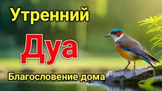 утренний дуа. дуа каждое утро