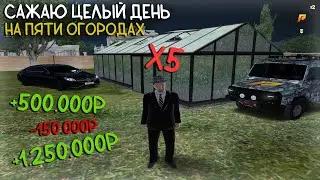 САЖАЮ ЦЕЛЫЙ ДЕНЬ НА ПЯТИ ОГОРОДАХ! СКОЛЬКО МОЖНО ЗАРАБОТАТЬ НА ЭТОМ? | Radmir CRMP / Hassle Online