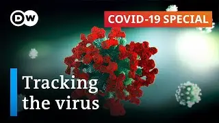 What scientists can learn from the coronavirus pandemic | COVID-19 Special