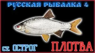 РУССКАЯ РЫБАЛКА 4 / РР4 / RUSSIAN FISHING 4 / СТАРЫЙ ОСТРОГ / ПЛОТВА ФАРМ