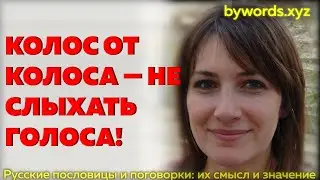 КОЛОС ОТ КОЛОСА — НЕ СЛЫХАТЬ ГОЛОСА: смысл и значение